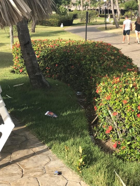 Gartenanlage Punta Cana Princess All Suites Resort & Spa