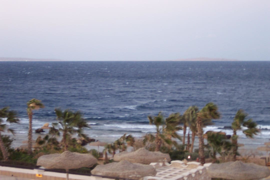 Citadel Azur Resort Pickalbatros Citadel Resort