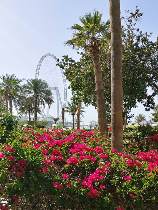 Außenansicht Sheraton Jumeirah Beach Resort