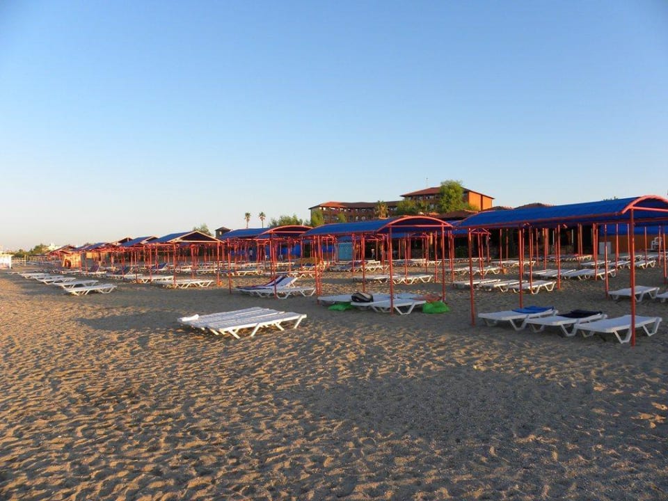 Plaża o poranku Club Turtas Beach Hotel