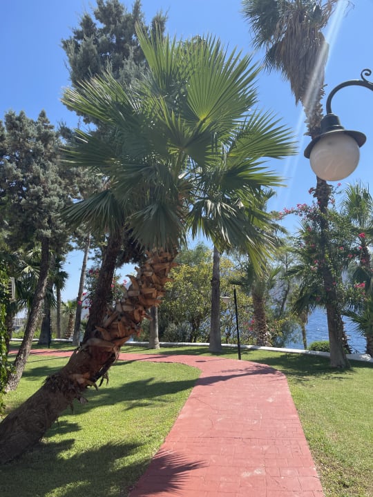 Gartenanlage Bodrum Holiday Resort & Spa