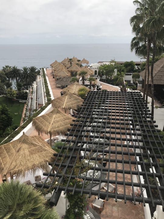 Sport & Freizeit Dreams Jardín Tropical