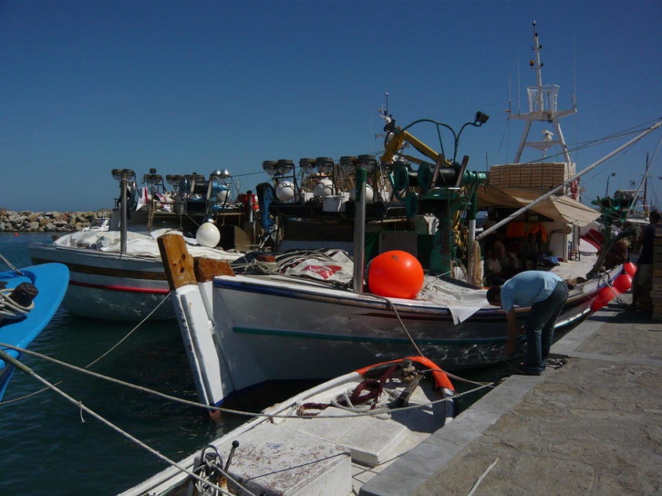 Im Hafen von Naoussa II Bungalows Svoronos