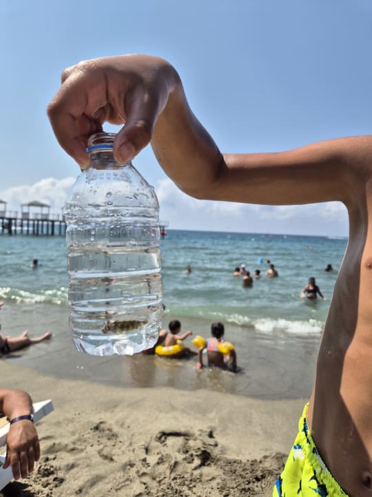 Sport & Freizeit Seven Seas Palmeras Bay Alanya