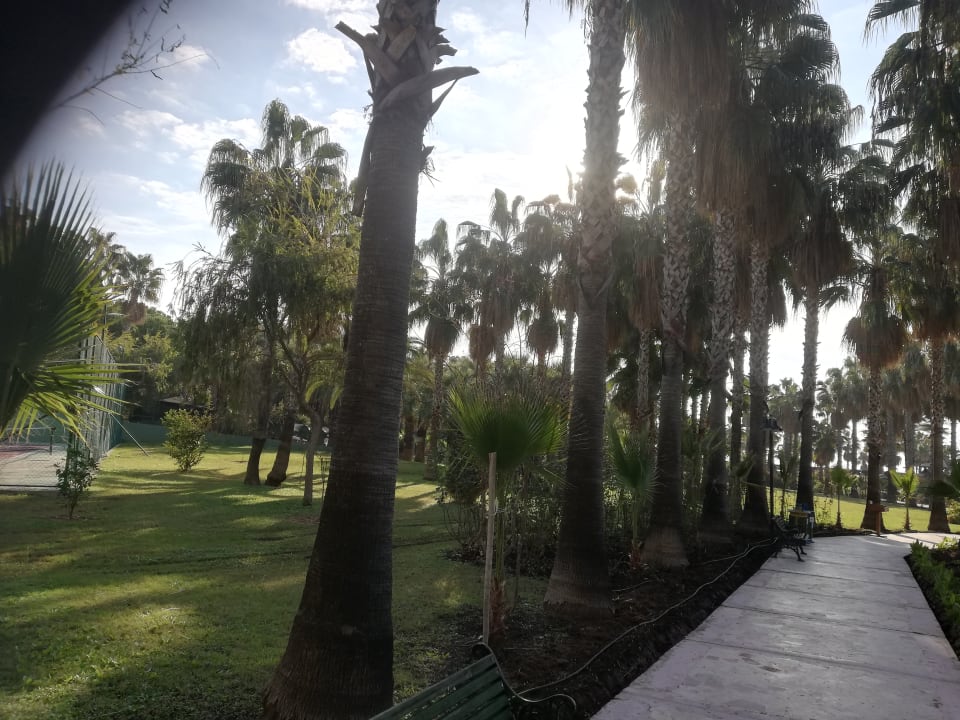 Gartenanlage Royal Atlantis Beach Hotel