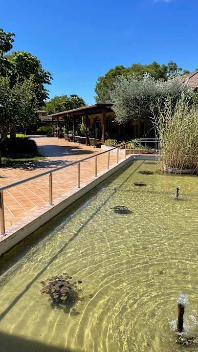 Gartenanlage Zafiro Mallorca