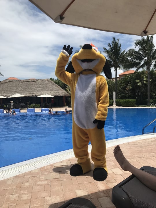 Pool Ocean Coral & Turquesa by H10