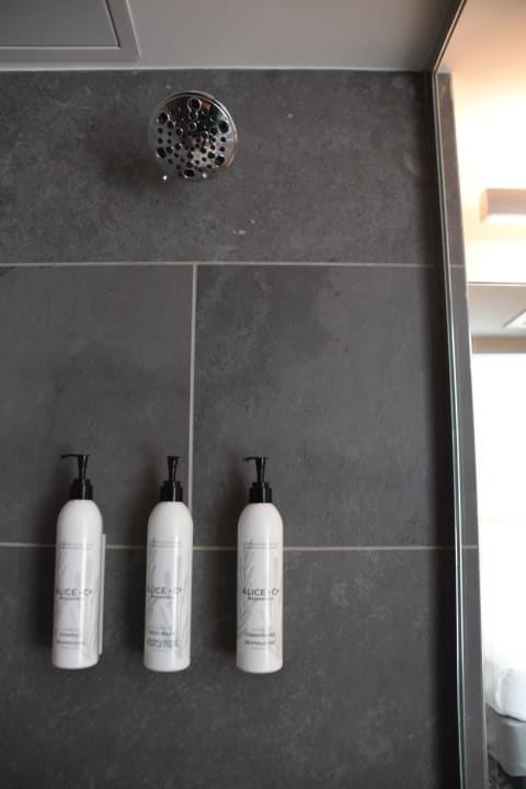 Zimmer SpringHill Suites by Marriott New York Manhattan Chelsea