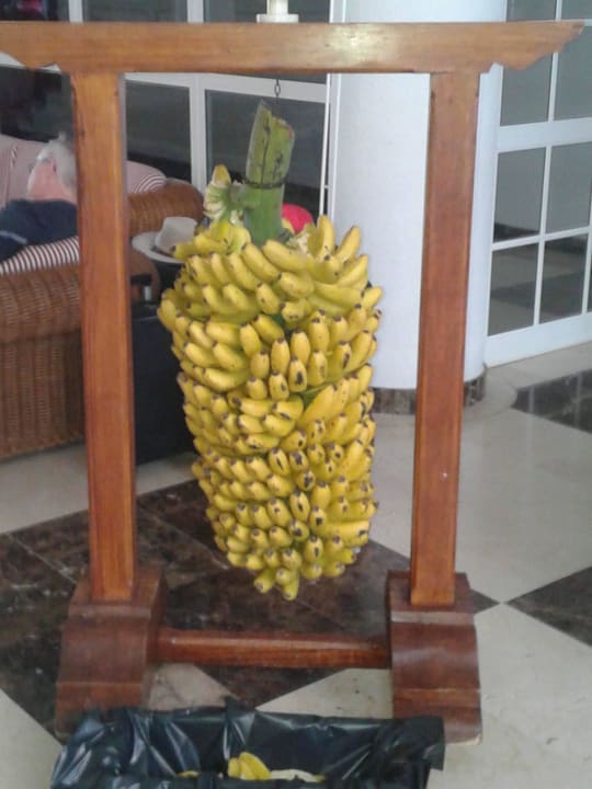 Een hele kam met verse bananen Melia La Palma Hotel