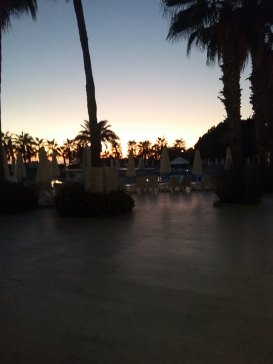 Pool Hotel Botanik Platinum