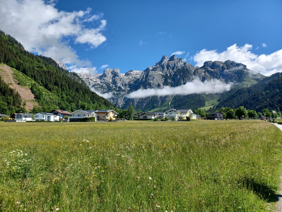 Ausblick Wenger Alpenhof