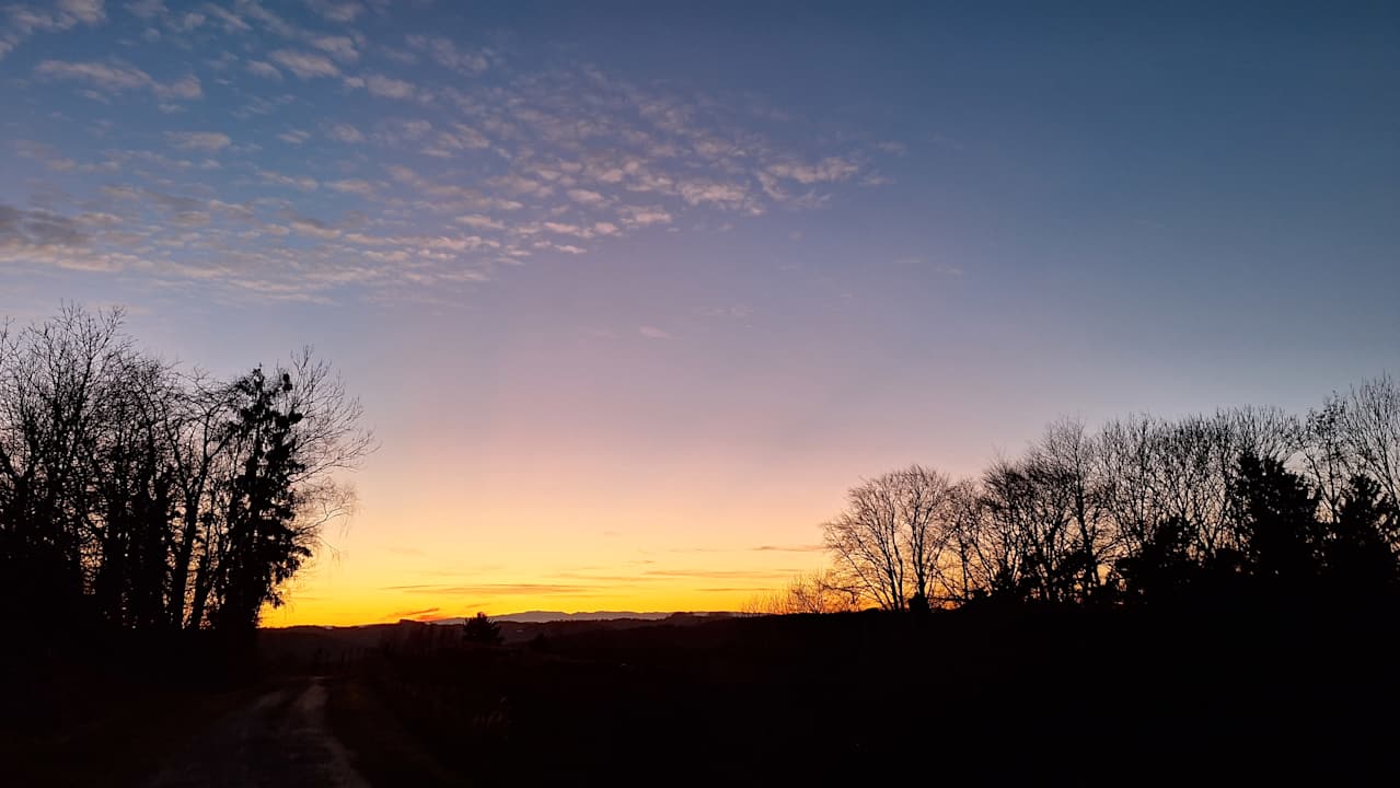 Ausblick Ferienhaus Ulrichsbrunn