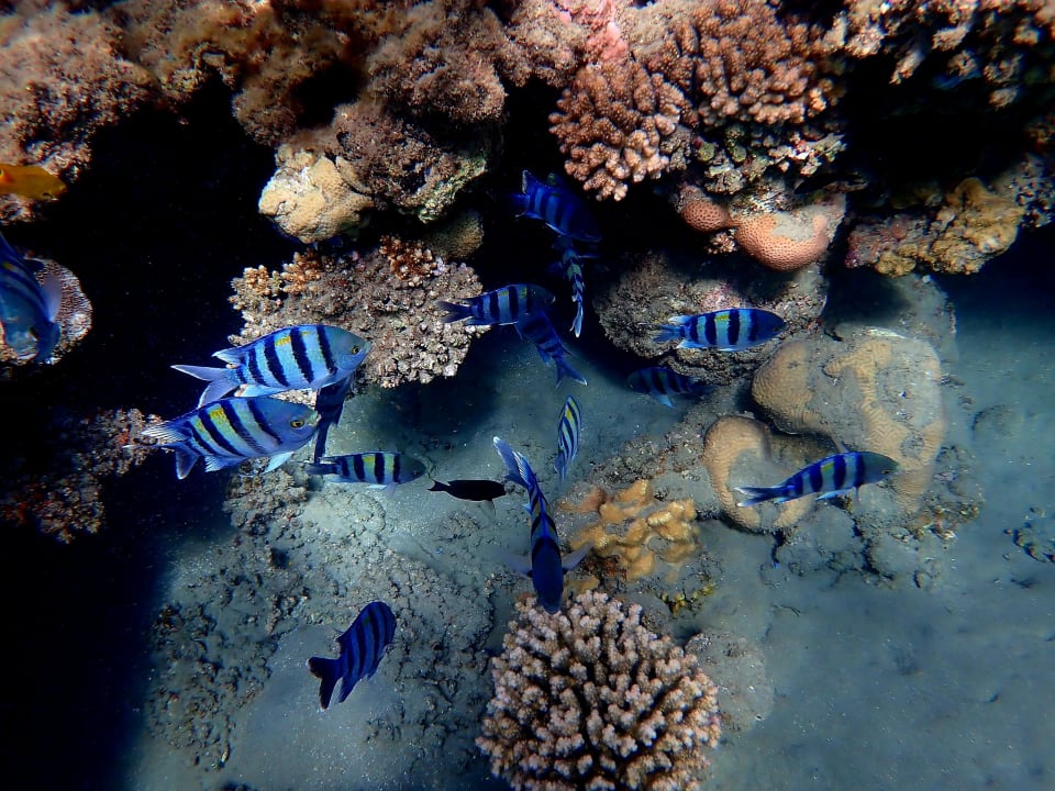 Sport & Freizeit Lahami Bay Beach Resort