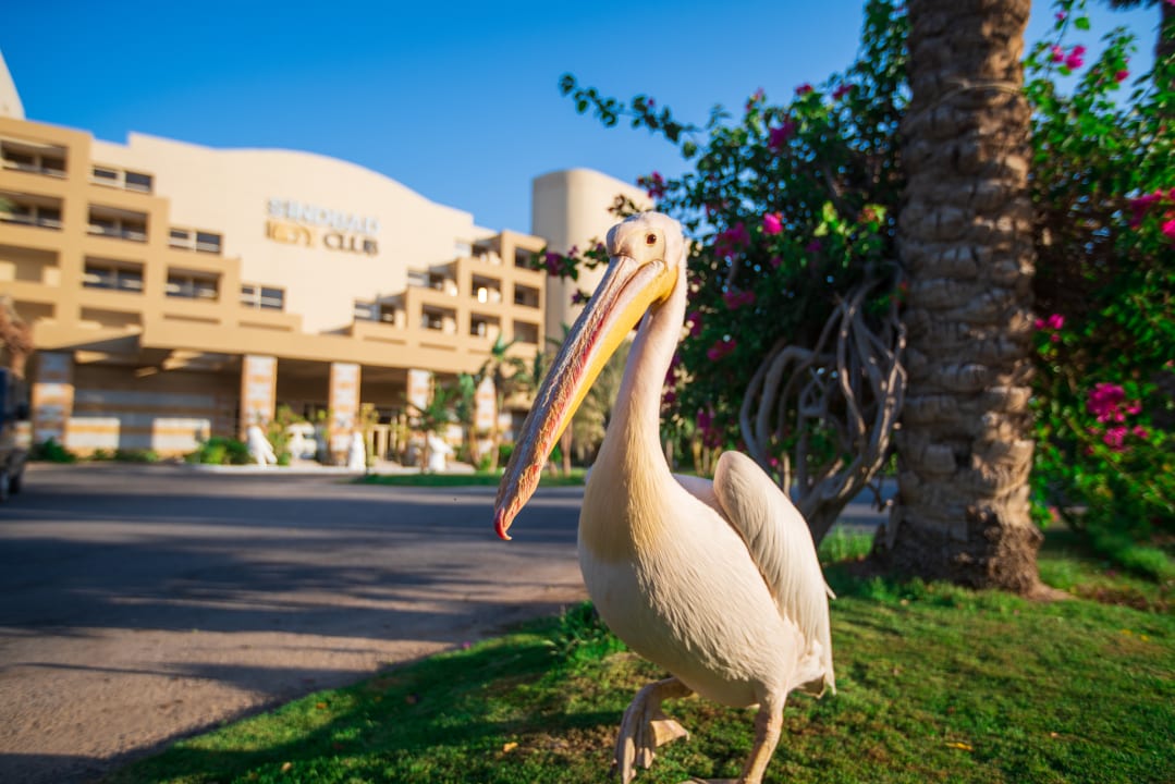 Gartenanlage Sindbad Club