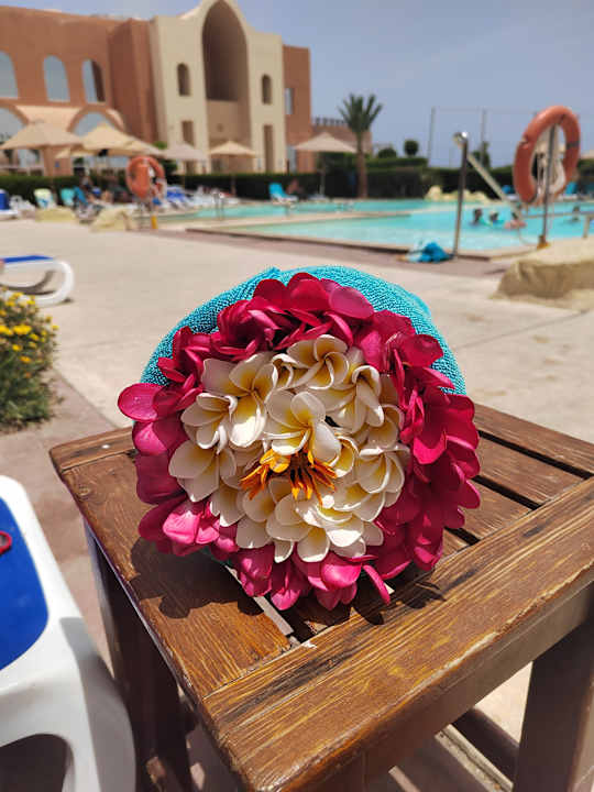 Pool Novotel Marsa Alam Beach Resort