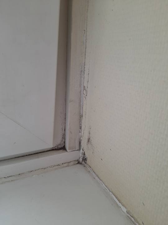 Zimmer Hotel Norddeutscher Hof