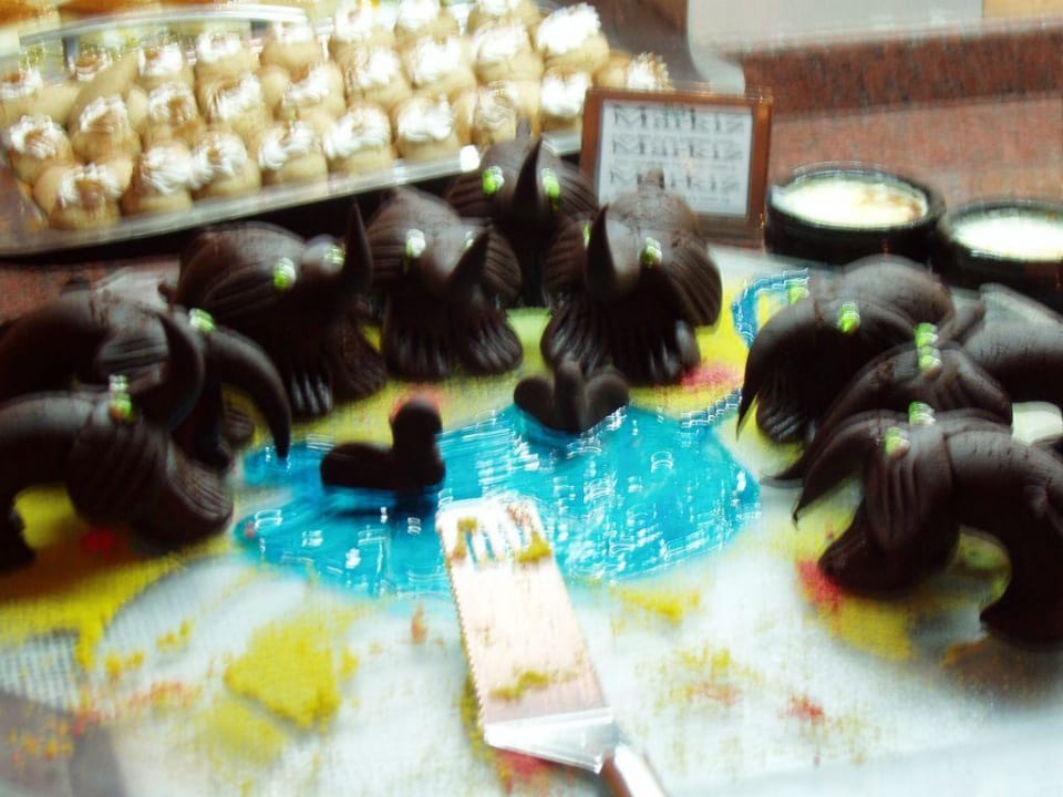 Hilfe die Elefanten sind los Club Grand Aqua