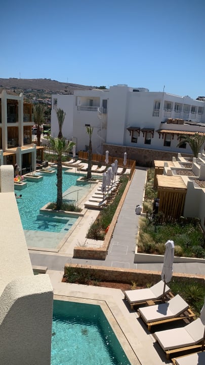 Zimmer Mitsis Rinela