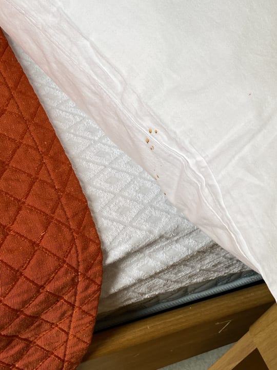 Zimmer Hotel La Rotonda