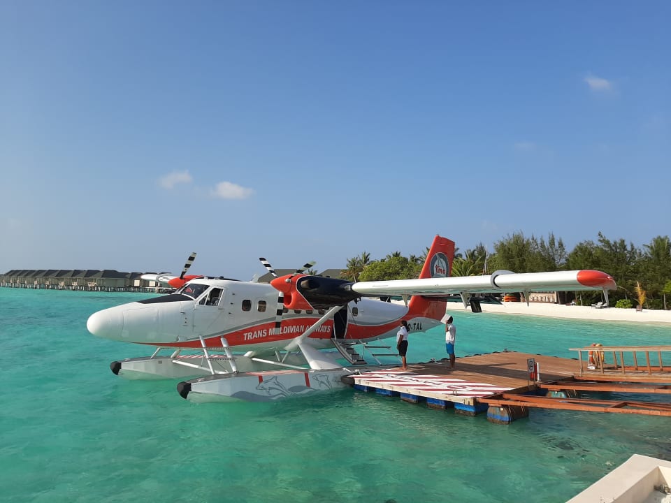 Pool Summer Island Maldives