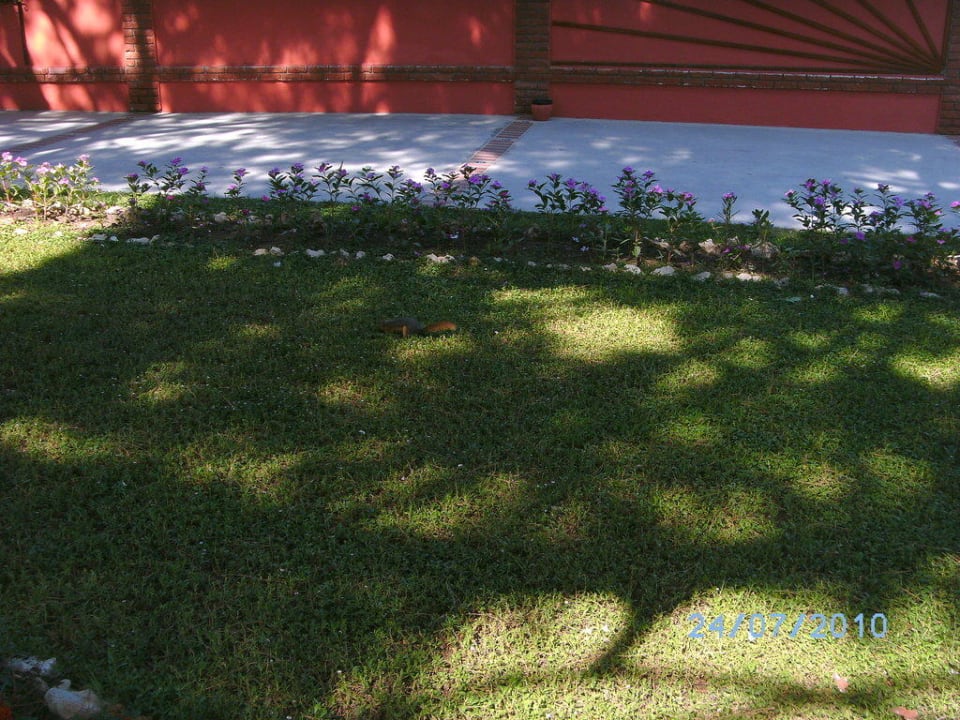 L'écureuil Kustur Club Holiday Village