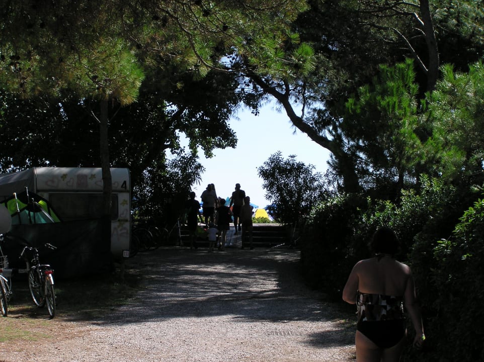 Weg durch den Pinienwald zum Strand Villaggio Europa Grado
