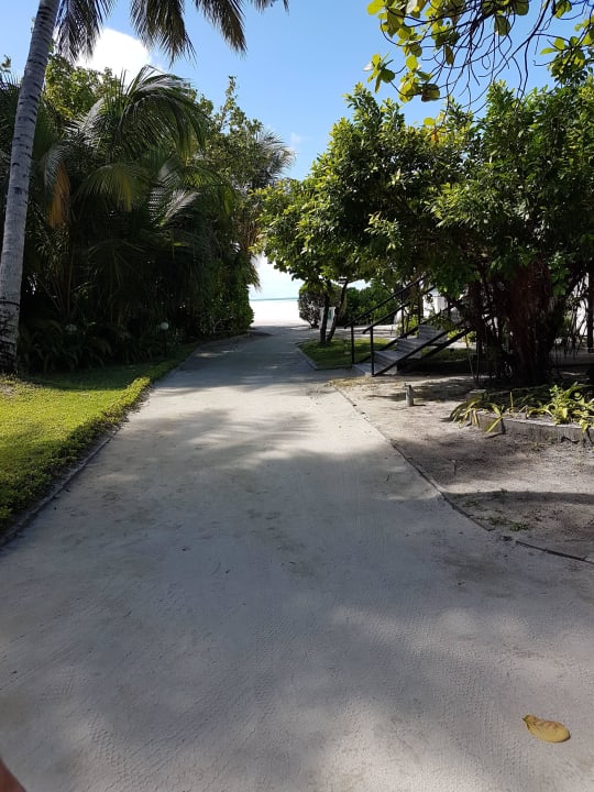 Weg zum strand Cinnamon Hakuraa Huraa Maldives