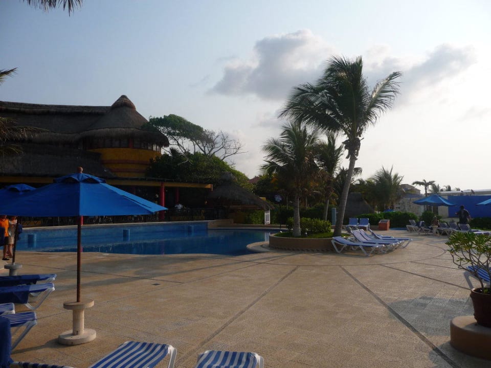 Animationspool The Reef Playacar