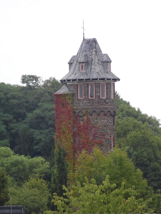 Ausblick Hotel Haus Rheinblick