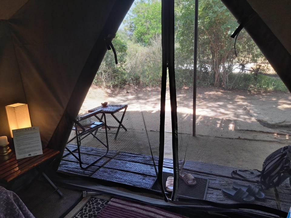 Zimmer Mahoora Tented Safari Camp - Yala