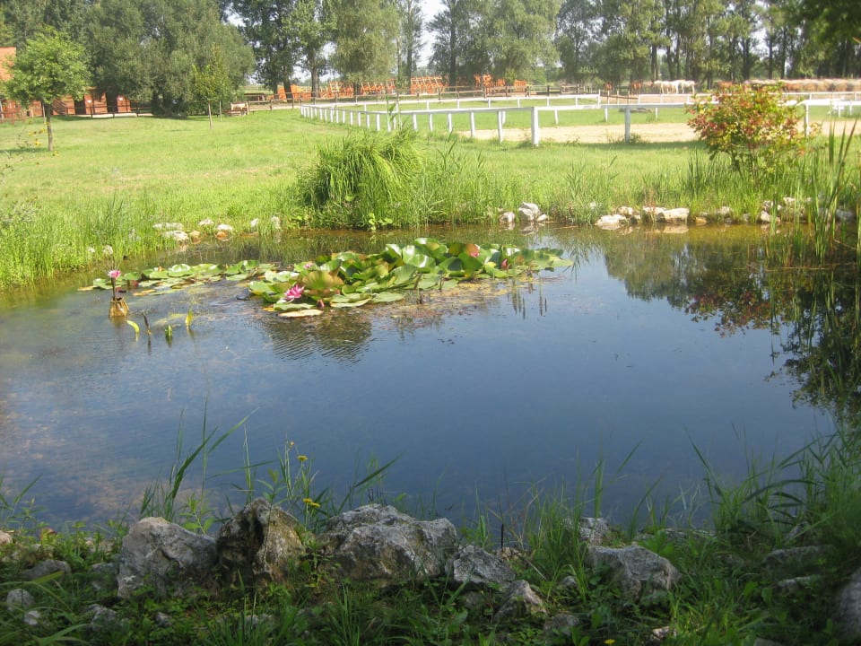 Hofeigener Teich Matild Country Hotel