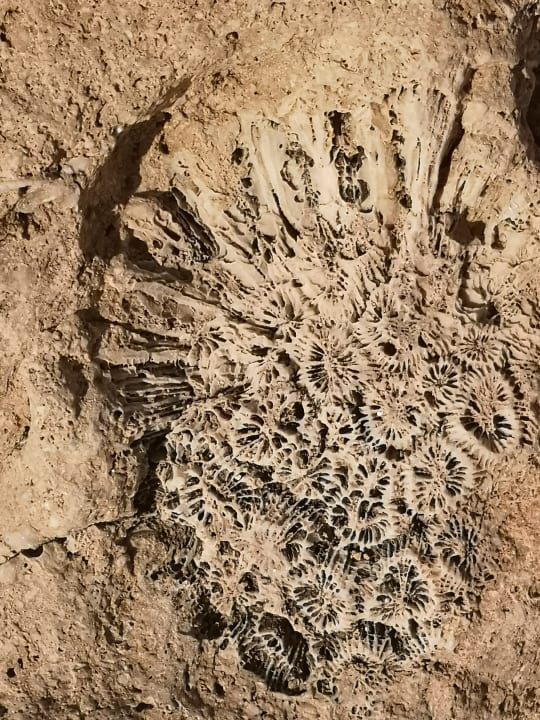 Strand Steigenberger Coraya Beach - Adults only