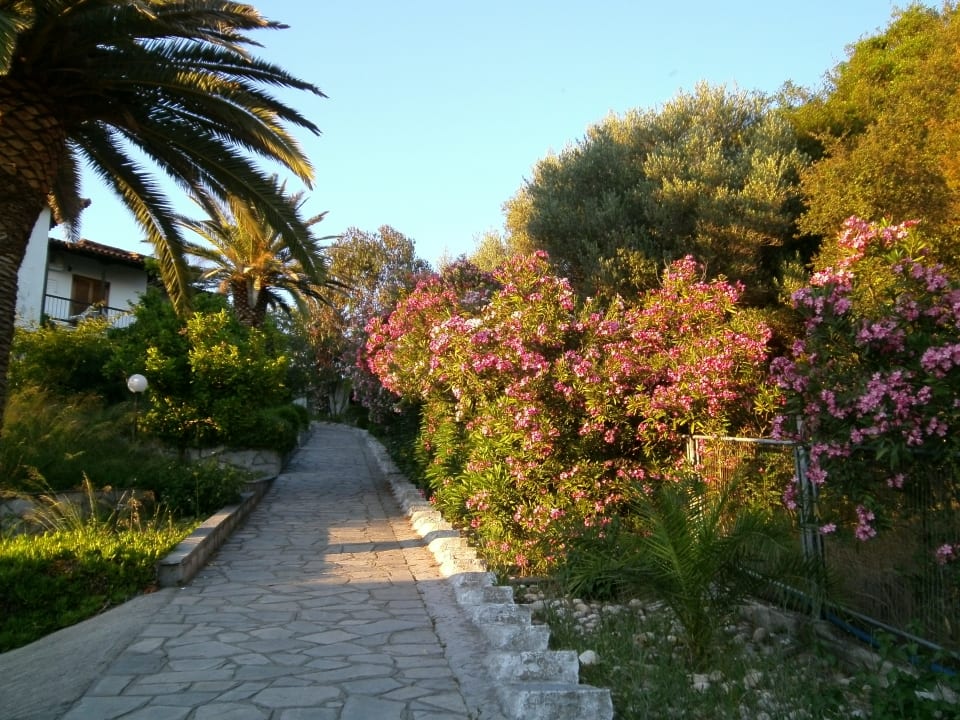 Gartenanlage Aristoteles Holiday Resort & Spa