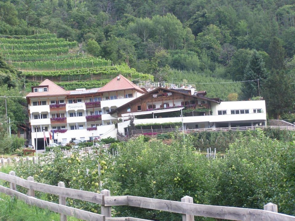 Hotelansicht Hotel Himmelreich Panoramahotel Himmelreich