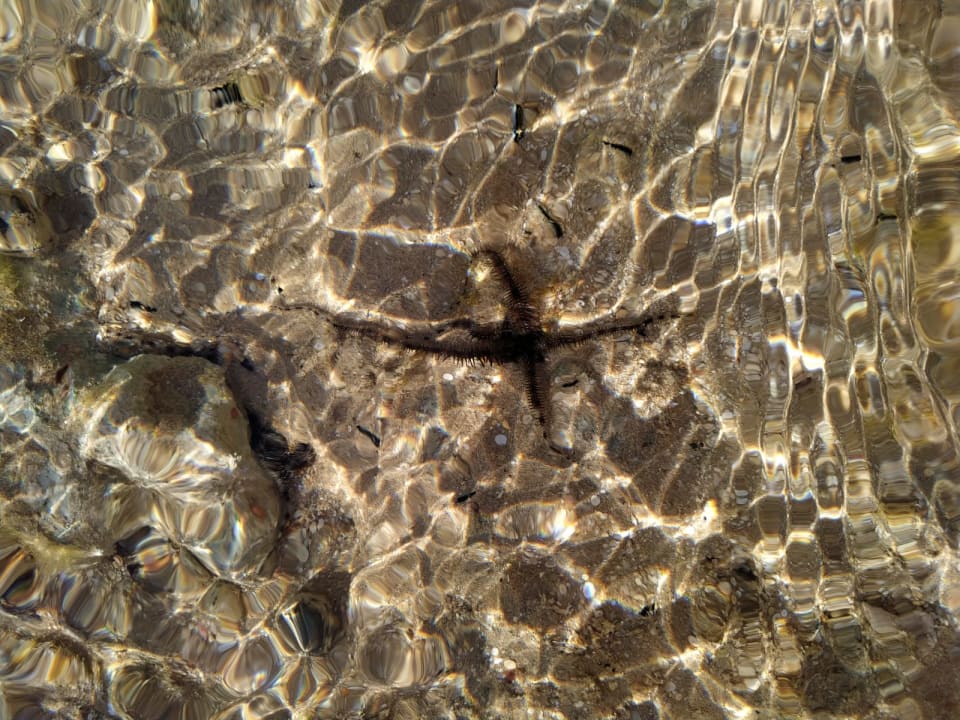 Strand Stella Garden Resort & Spa, Makadi Bay