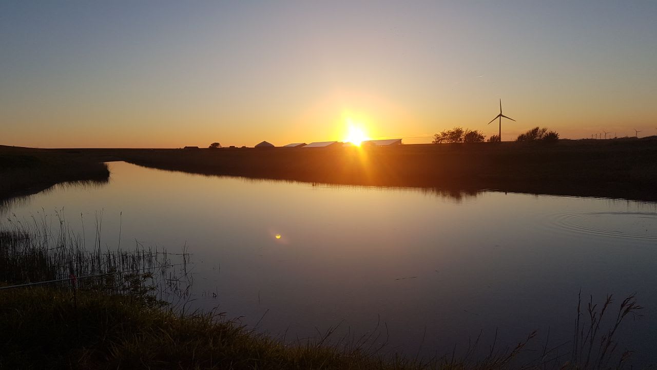 Ausblick Ferienhaus Hemenswarft direkt an der Nordsee mit Meerblick