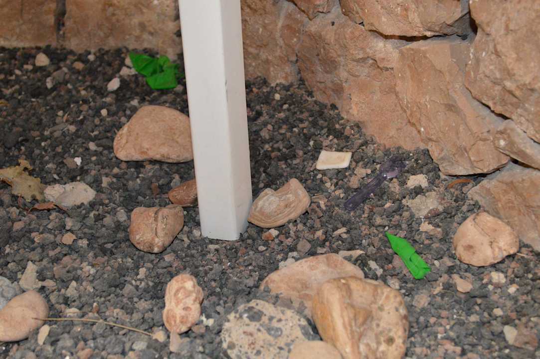 Vor dem Hotelzimmer 417 SBH Hotel Taro Beach