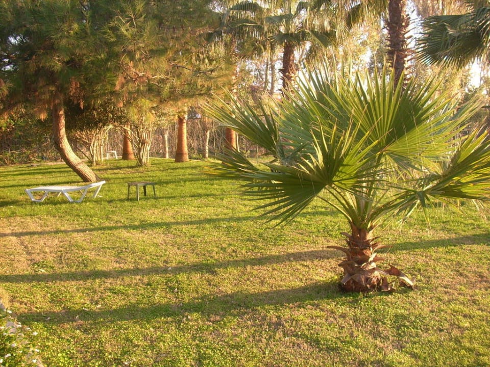 Garten Seher Kumköy Star Resort & Spa