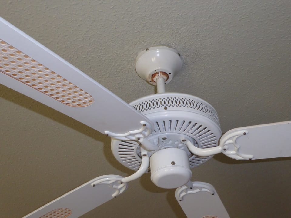 Zimmer Hotel Riu Oliva Beach Resort