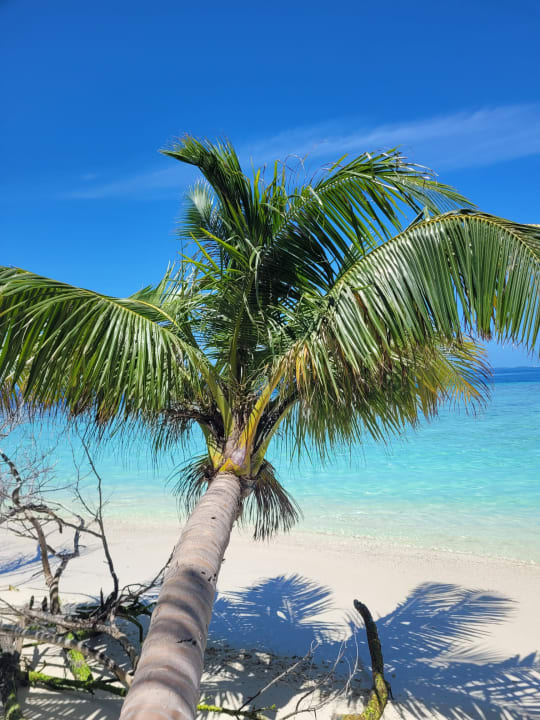 Strand Embudu Village