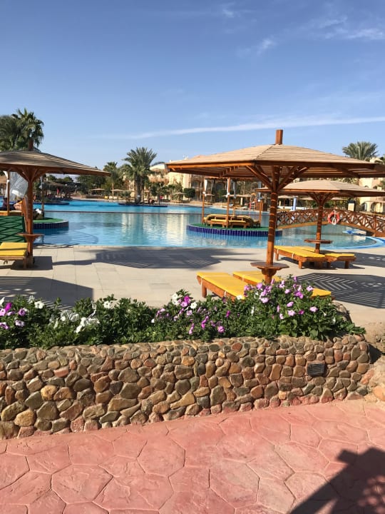 Pool 1 von 3 Desert Rose