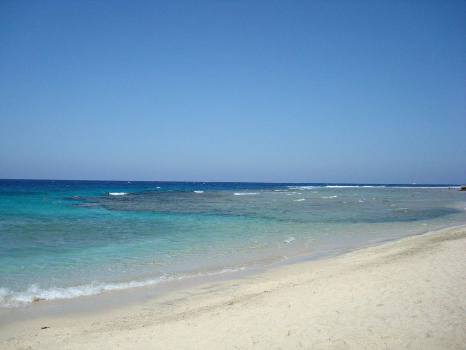 Strand, rechts das Riff Malikia Resort Abu Dabbab