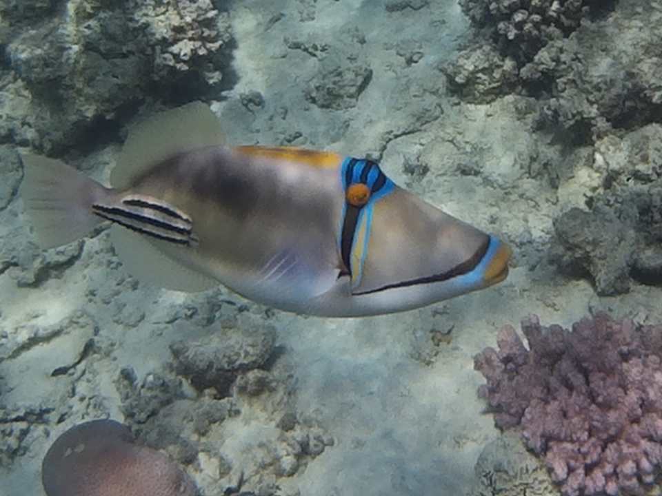 Sport & Freizeit Grand Waterworld Makadi & Family Star Makadi