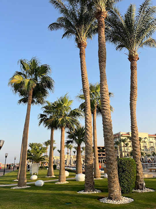 Gartenanlage Premier Le Reve Hotel & Spa