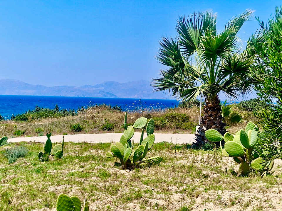 Gartenanlage Hotel Kouros Palace