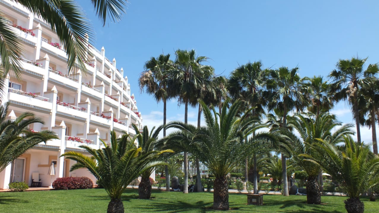 Blick in den Garten Hotel Riu Palace Tenerife