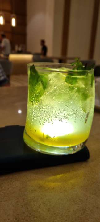 Gastro JAZ Elite Asteria