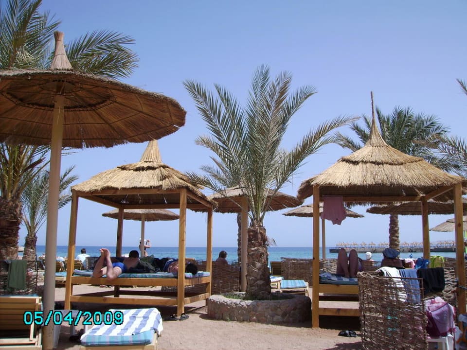 Palmen Pickalbatros Aqua Park Resort - Hurghada