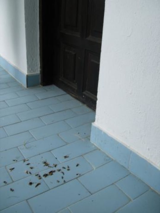 Zimmertür Hotel Geranion Village