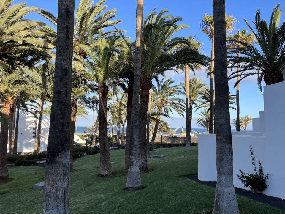 Ausblick Hotel Riu Paraiso Lanzarote